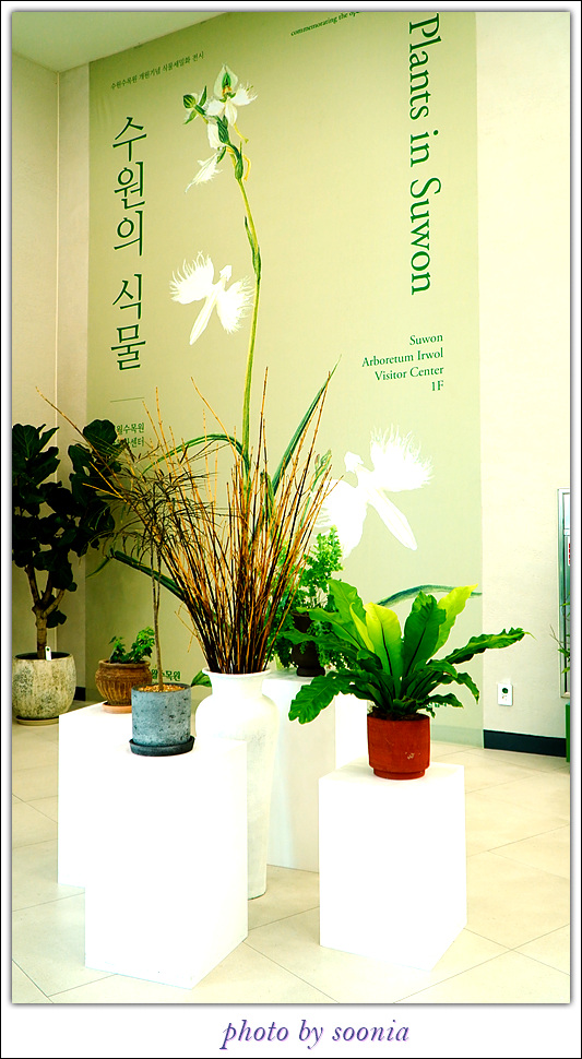 수목원카페 이미지