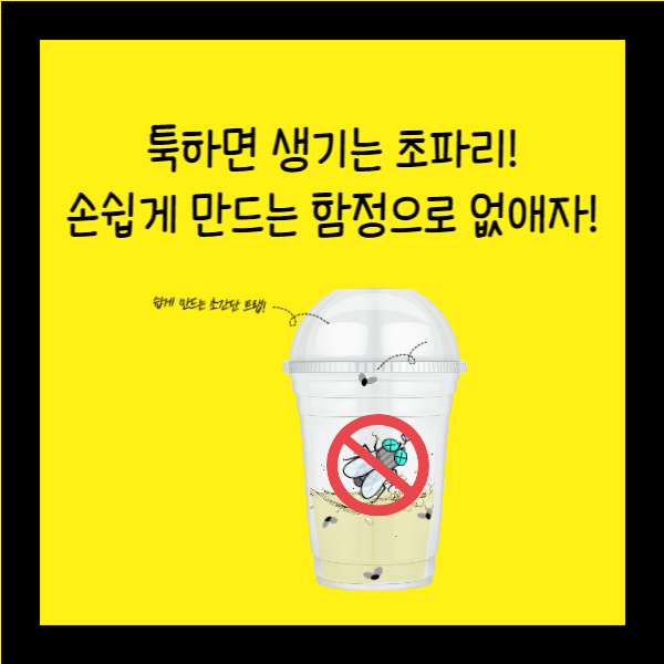  툭하면 생기는 초파리! 집에서 손쉽게 만드는 함정으로 없애자!