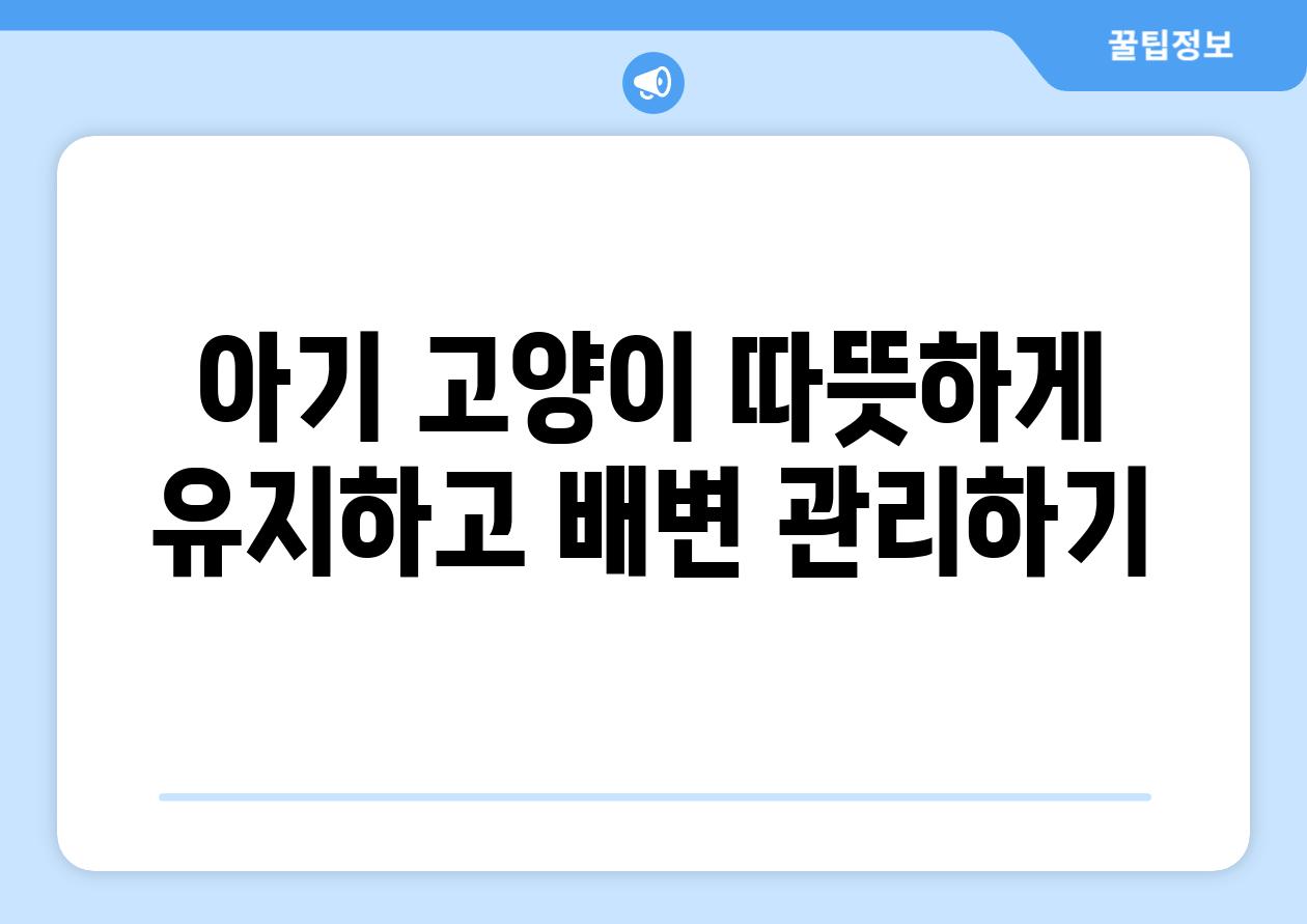 아기 고양이 따뜻하게 유지하고 배변 관리하기