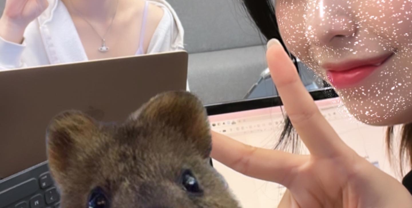 핑퐁프랜드 이미지