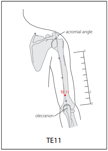 수소양삼초경(TE) > TE11 청랭연 (淸冷淵) 1