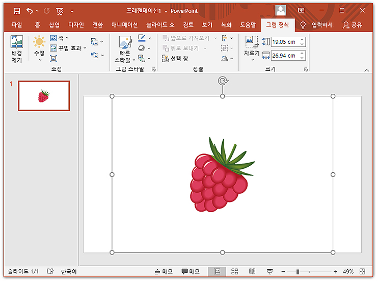 누끼 결과 확인