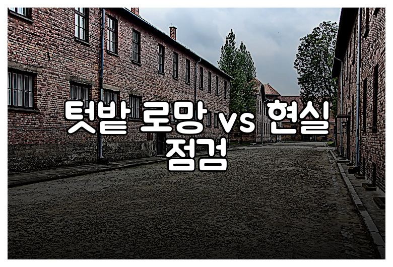 텃밭 로망 vs 현실 점검