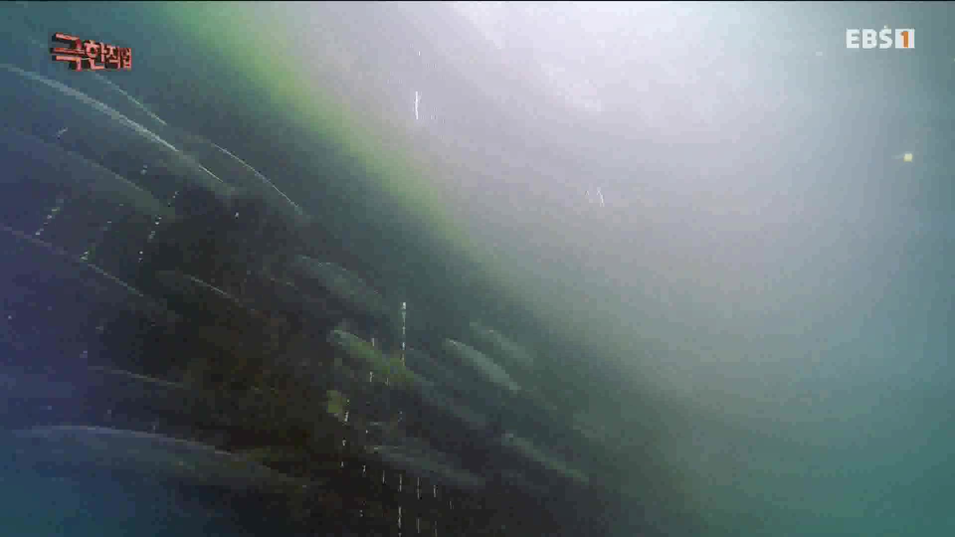 극한 직업 - 보물섬 남해, 멸치의 귀환 1080p.mp4_20230612_202038.140.jpg