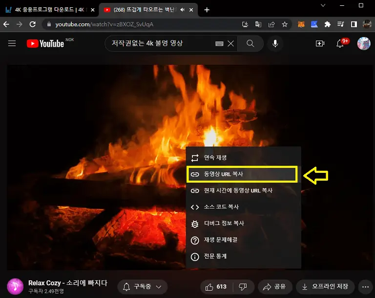 유튜브 4K 동영상 및 음악(mp3) 다운로드 방법 4K Video Loader