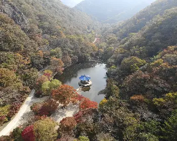 내장산 단풍_24