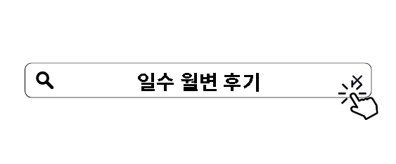 일수 월변 후기