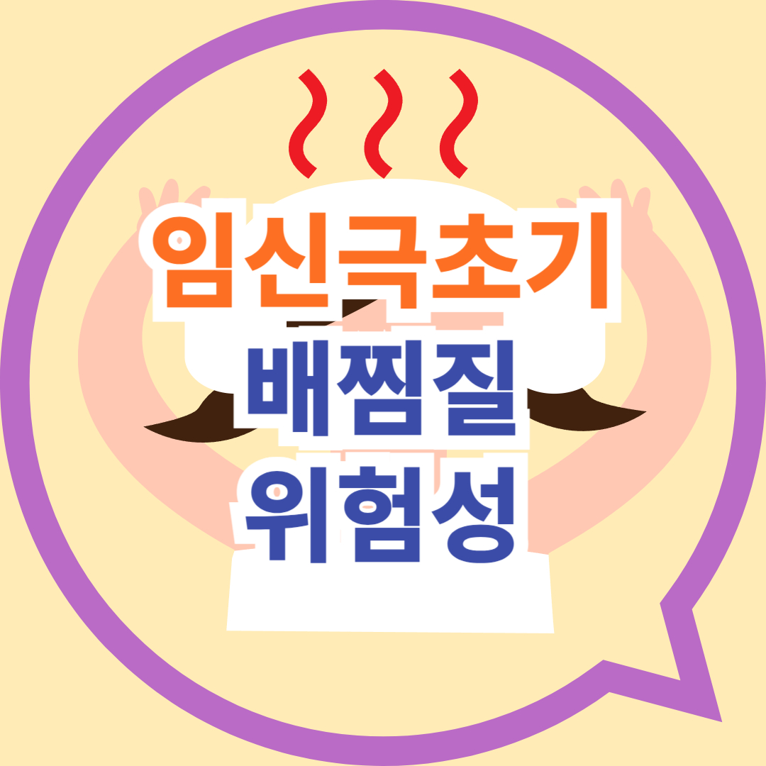 2.임신극초기 배찜질 위험한 이유