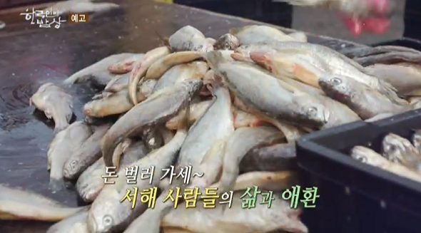  한국인의 밥상 가을바다의 전설, 조기 보리굴비, 새우젓, 반건조생선 어묵 전남 목포 576회