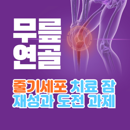 무릎연골 줄기세포 치료 잠재성과 도전 과제