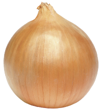 고관절 통증 증상