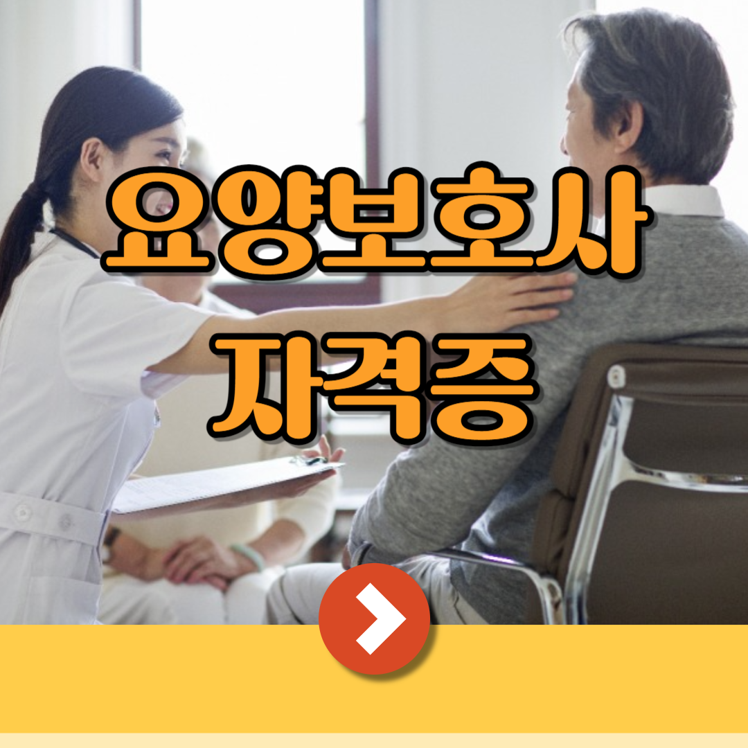 요양보호사자격증 재발급 국비지원