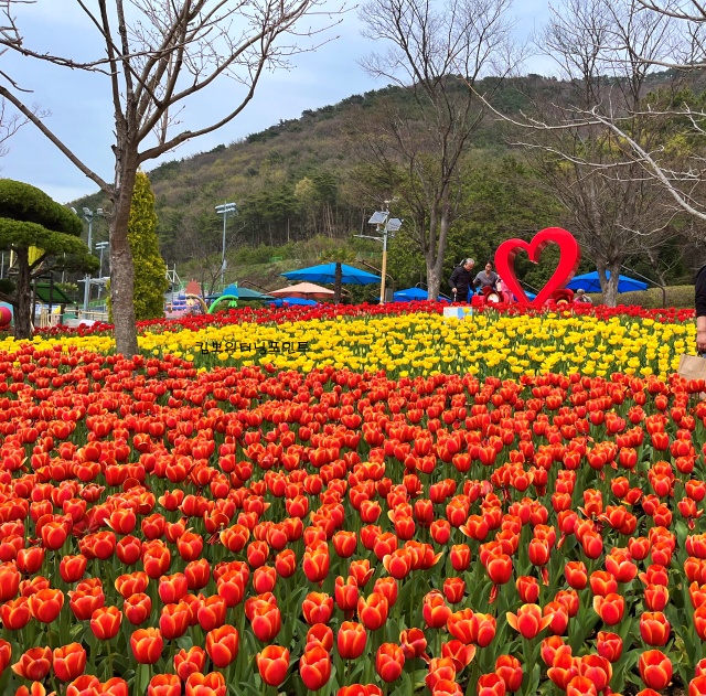 독봉산공원-봄꽃