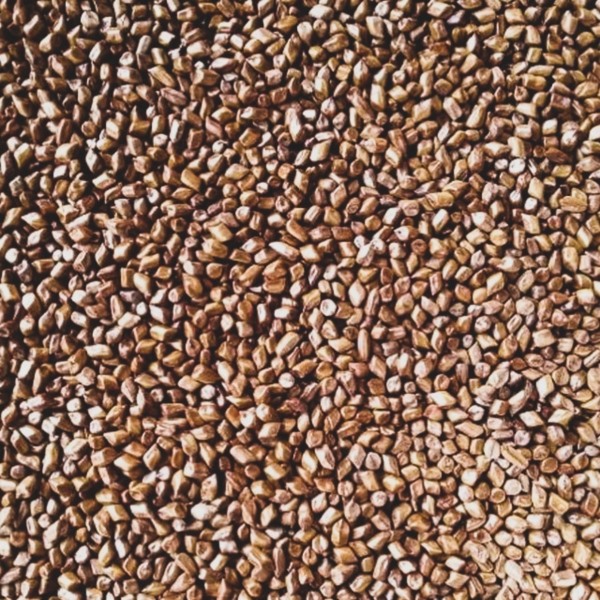 칼세도니 차의 효과