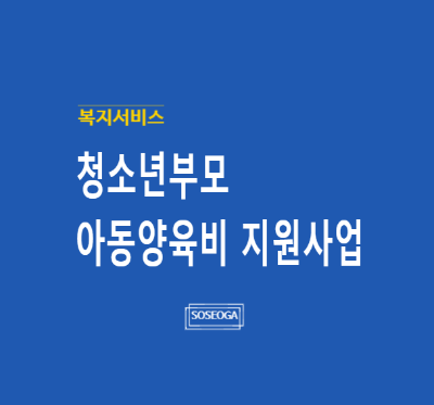 청소년부모 아동양육비 지원사업