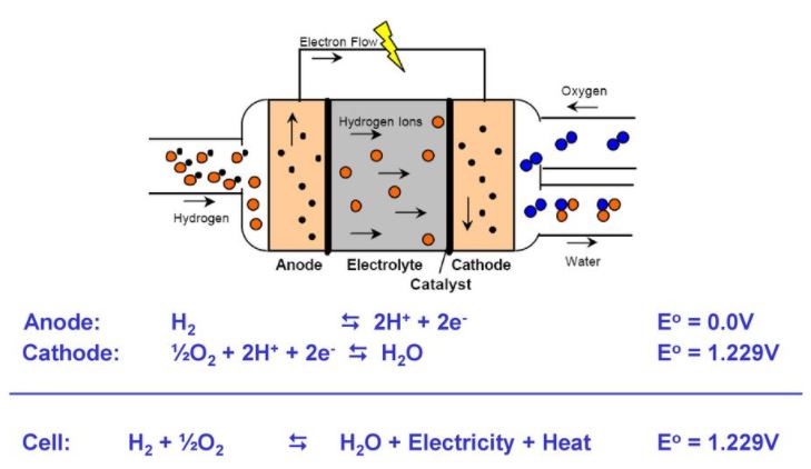 고분자 전해질 연료전지(Polymer Electrolyte Membrane Fuel Cell, Pemfc)