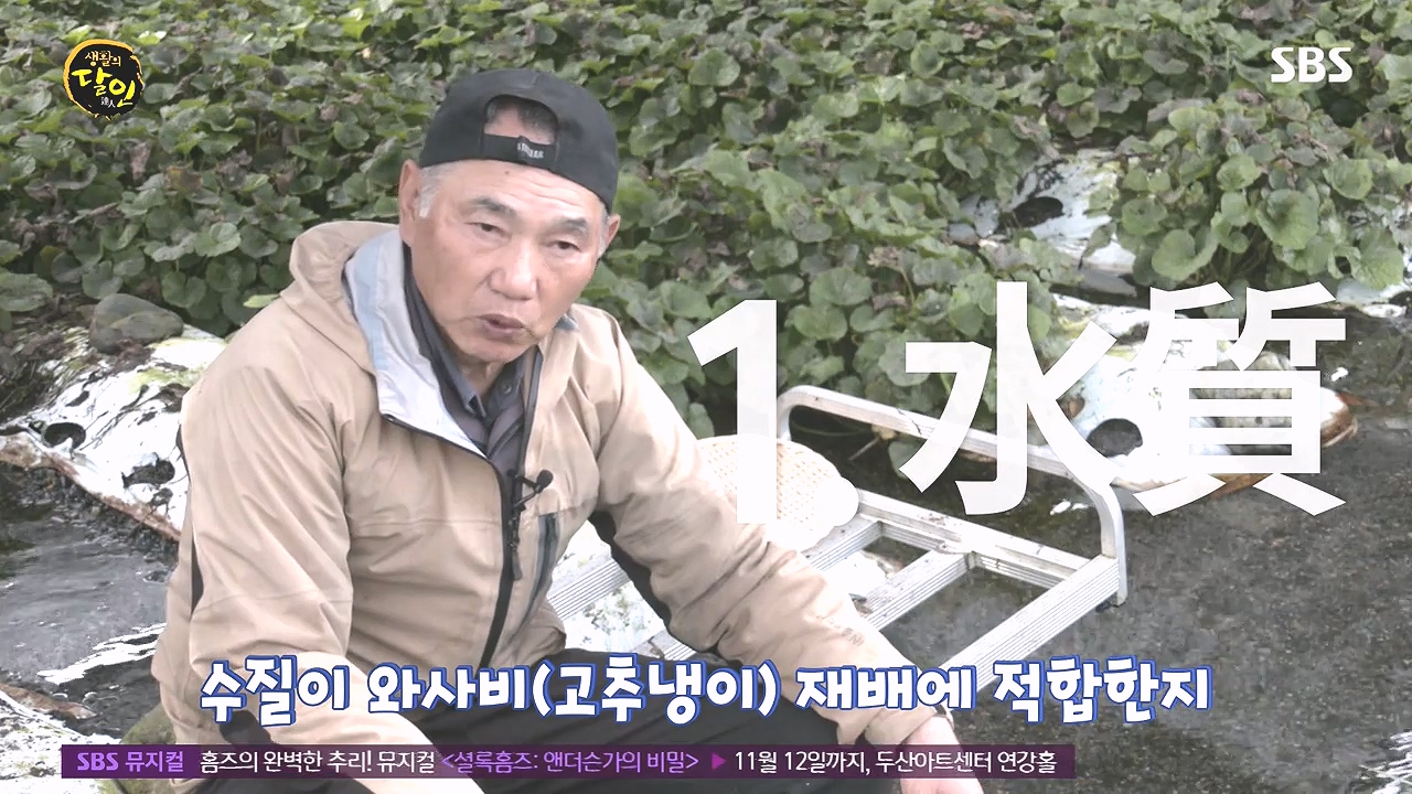 생활의 달인.E908.231017p-NEXT.mp4_20231017_200011.831.jpg