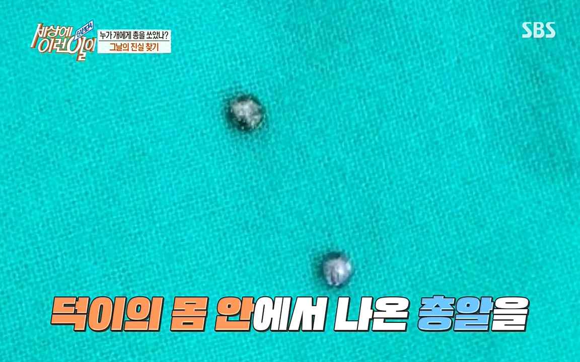 순간포착 세상에 이런일이.E1187.220706p-NEXT.mp4_20220706_202633.315.jpg