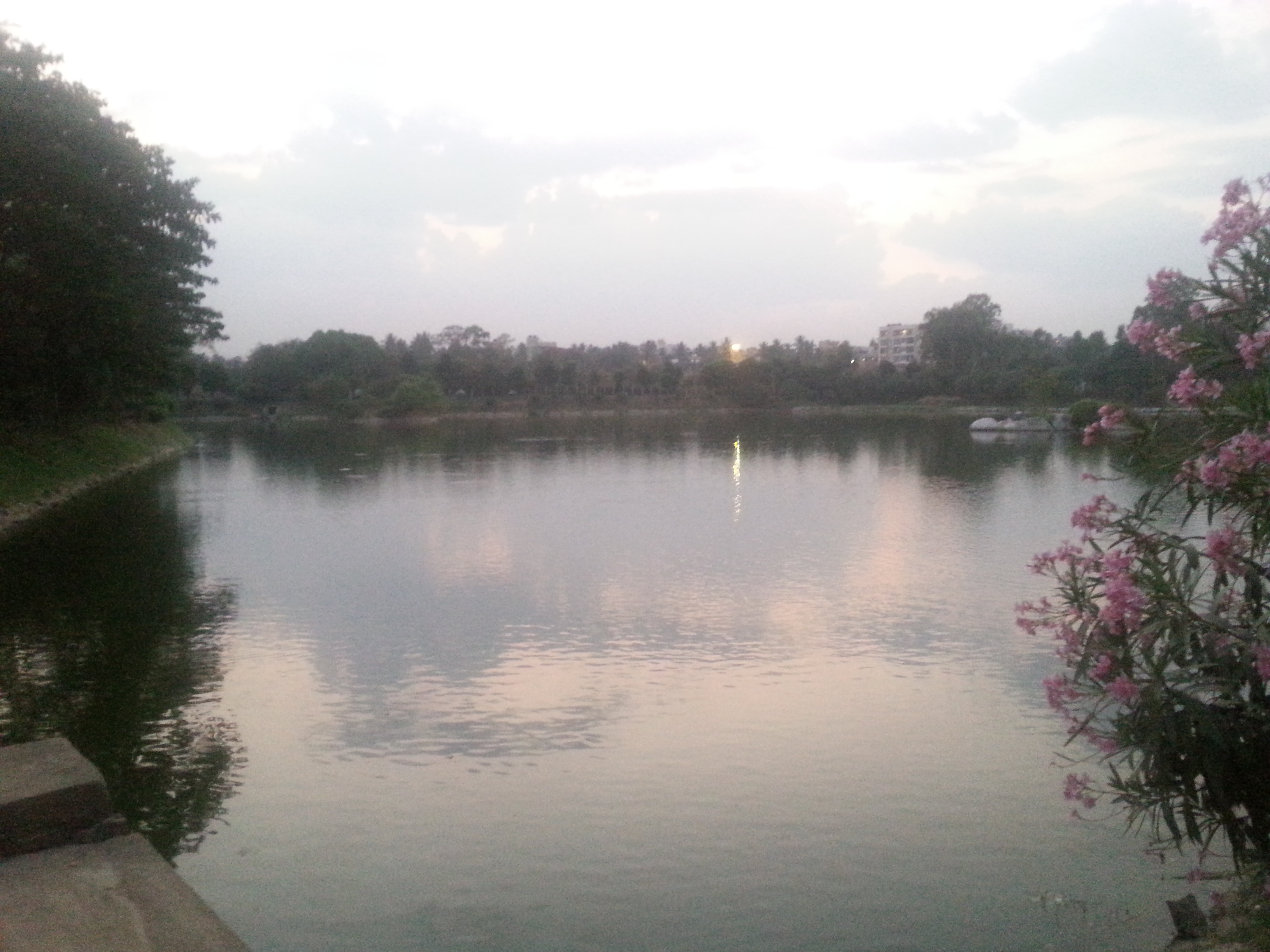 인도 벵갈루루 호수 공원1