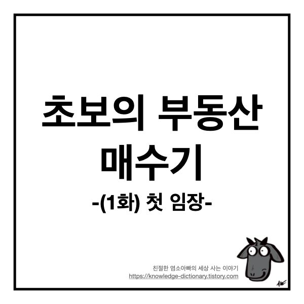  초보의 부동산 매수기 - (1) 첫 임장
