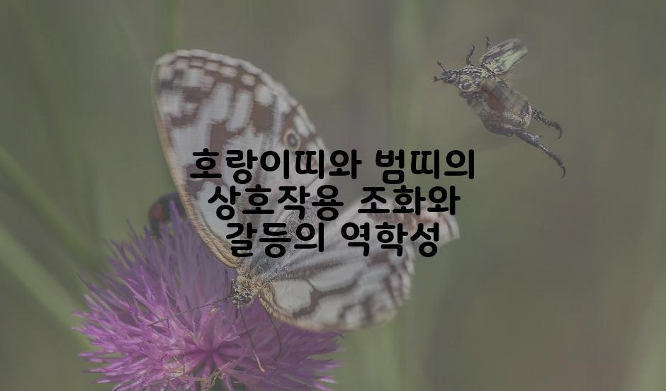 호랑이띠와 범띠의 상호작용 조화와 갈등의 역학성