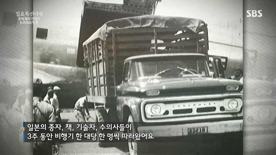 일요 특선 다큐멘터리.E315.230716p.H264-F1RST.mp4_20230717_210610.167.jpg