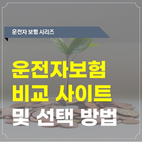  다이렉트 운전자보험 비교사이트 및 선택 기준 완벽 정리