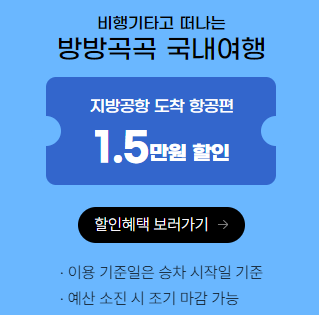 항공권 할인