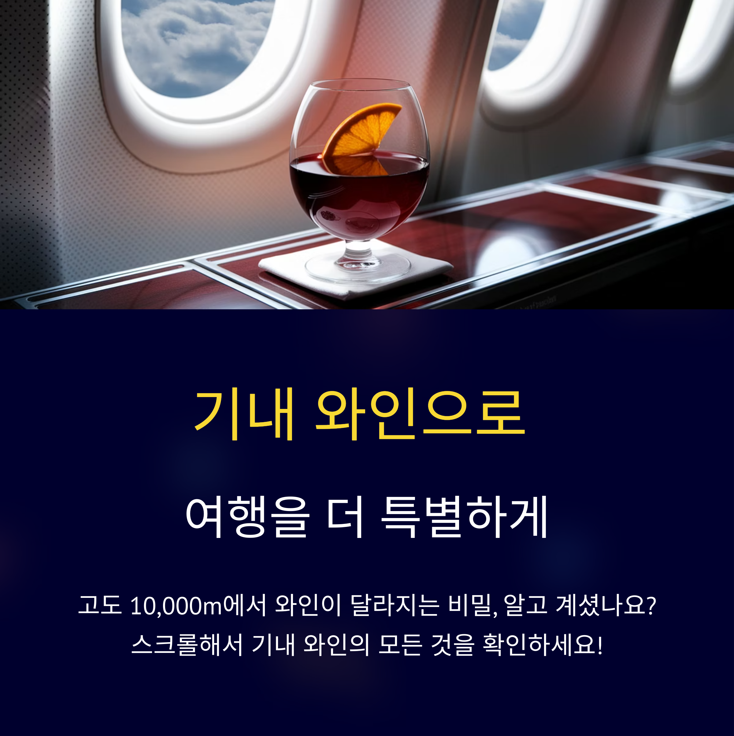 비행기 기내 와인 즐기기