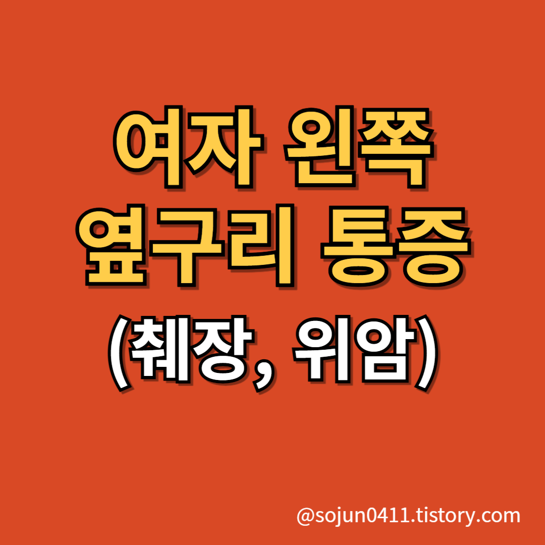 여자 왼쪽 옆구리 통증 썸네일