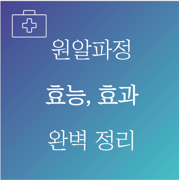 원알파정