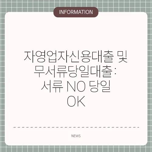 자영업자신용대출 및 무서류당일대출: 서류 NO 당일 OK