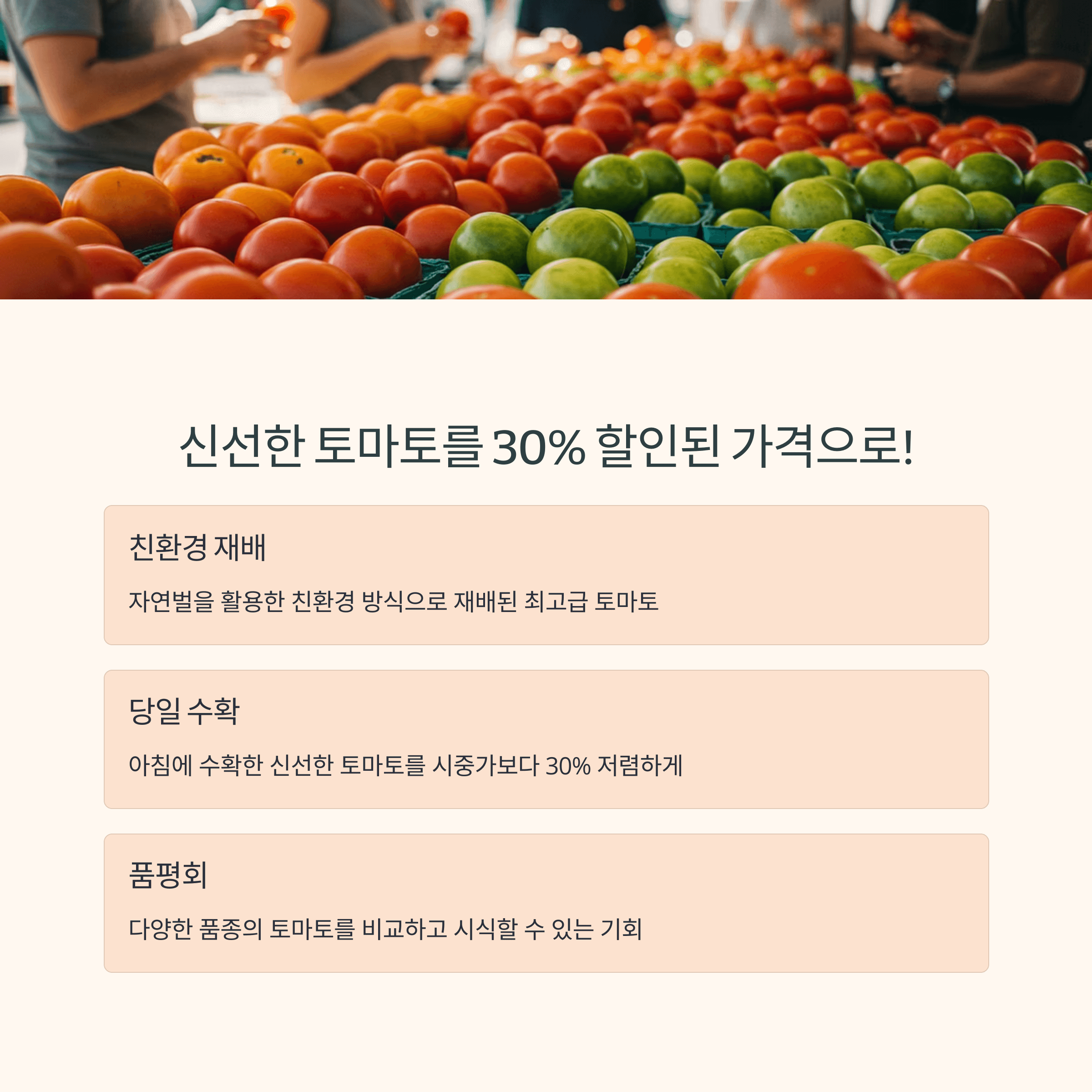 퇴촌 토마토 축제, 2025년 핵심 일정 총정리