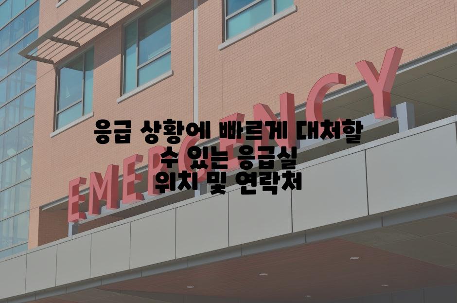 응급 상황에 빠르게 대처할 수 있는 응급실 위치 및 연락처