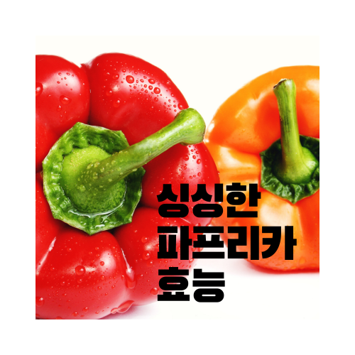  파프리카 효능 색마다 다르다!