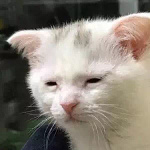 귀찮음