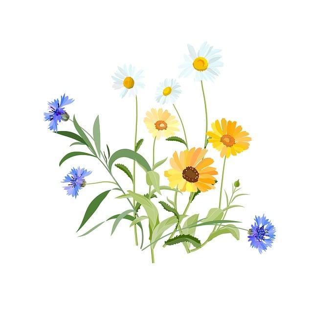가설건축물 신고대상 존치기간 연장신고