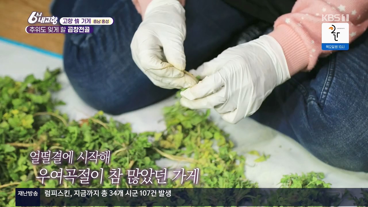 6시 내고향.E7922.231129p.H264-F1RST.mp4_20231129_203832.644.jpg