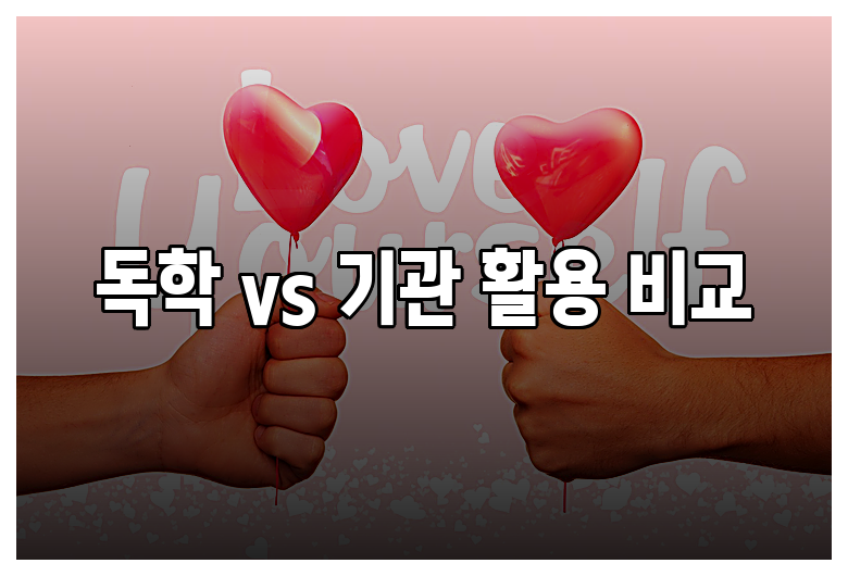 독학 vs 기관 활용 비교