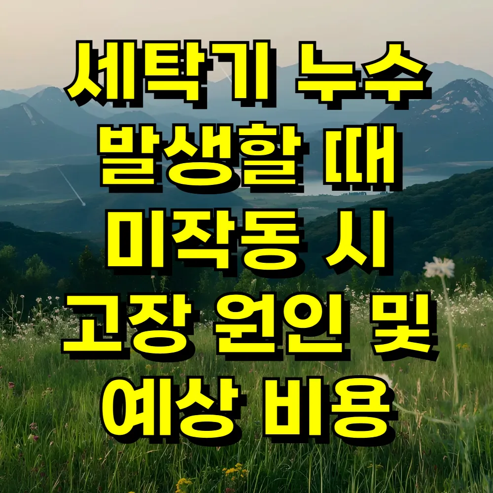 세탁기 누수 발생할 때 미작동 시 고장 원인 및 예상 비용