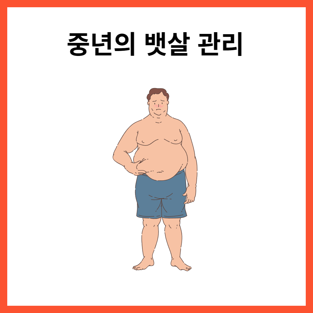 중년뱃살관리