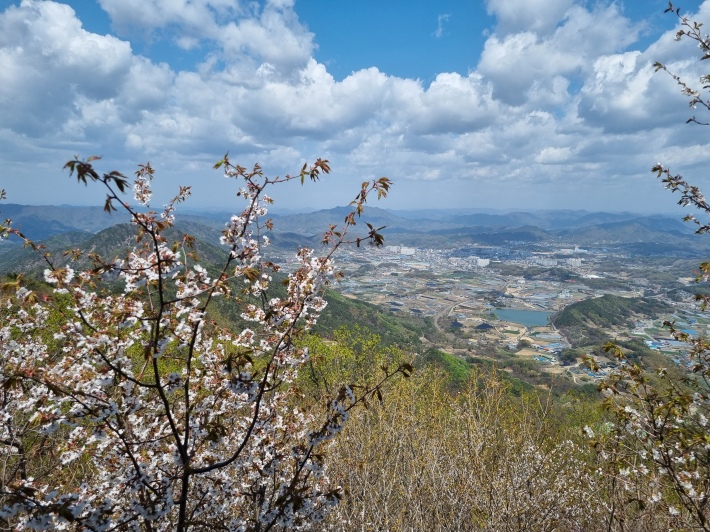 장령산