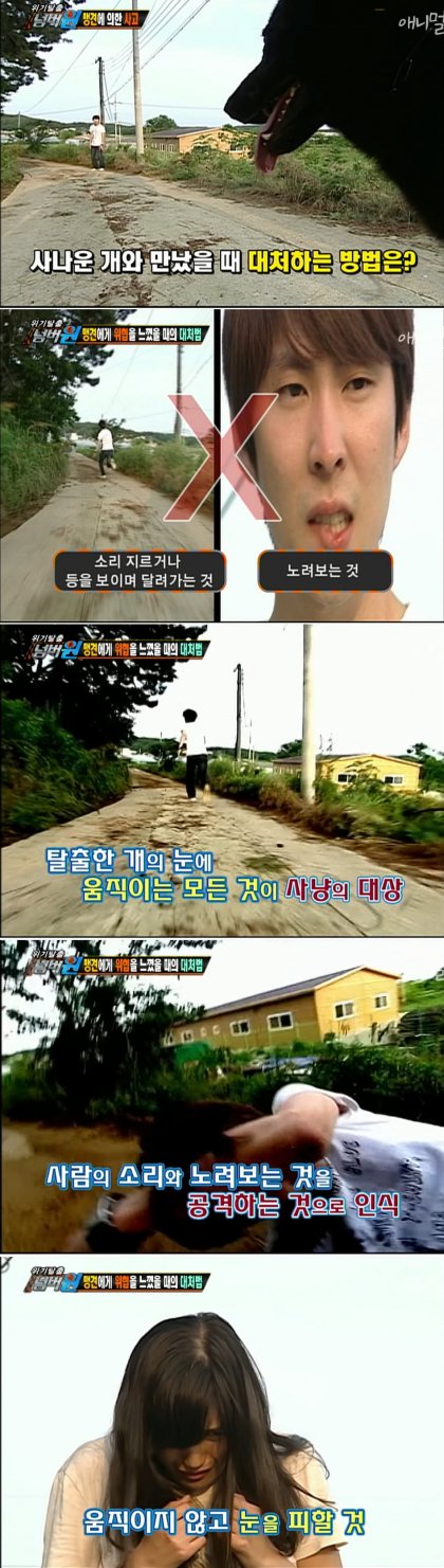 개물림 사고 대처 방법