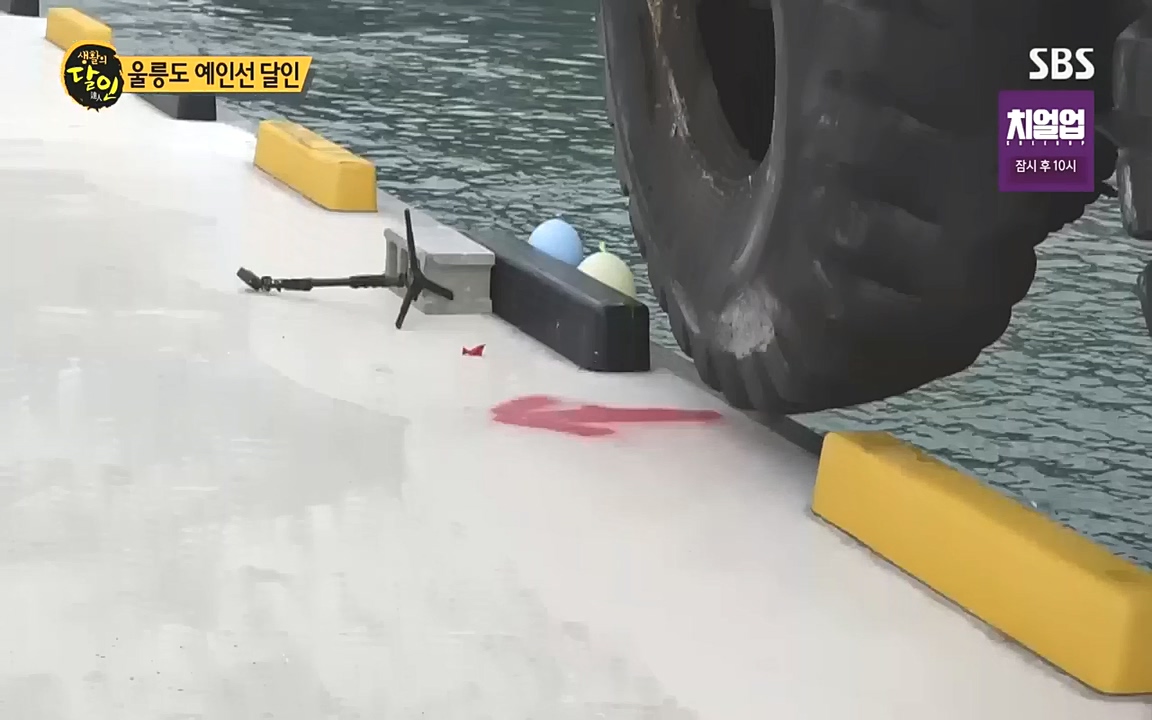 생활의 달인.E862.221010.H265p-BULDU.mp4_20221011_201815.135.jpg