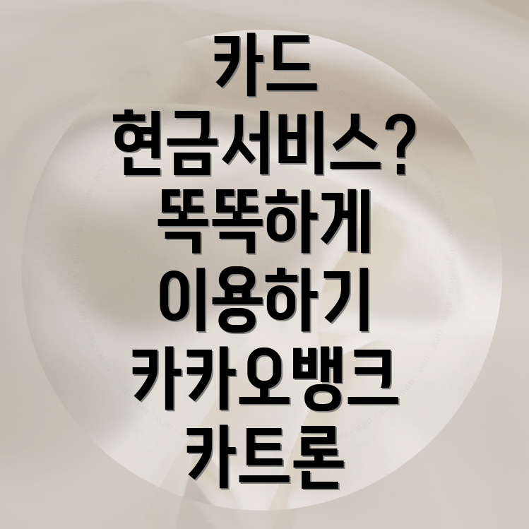 신용카드 현금서비스