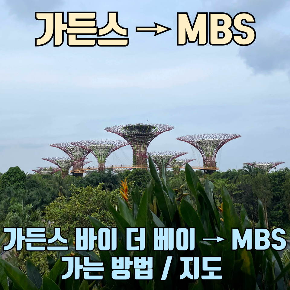 싱가포르-가든스-바이-더-베이-에서-마리나-베이-샌즈-가는-방법-포스팅-썸네일