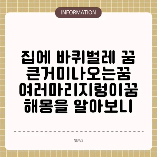 집에 바퀴벌레 꿈 큰거미나오는꿈 여러마리지렁이꿈 해몽을 알아보니