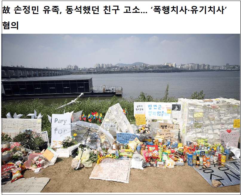  손정민군 부친, 결국 동석자 형사고소...‘폭행치사·유기치사’ 혐의