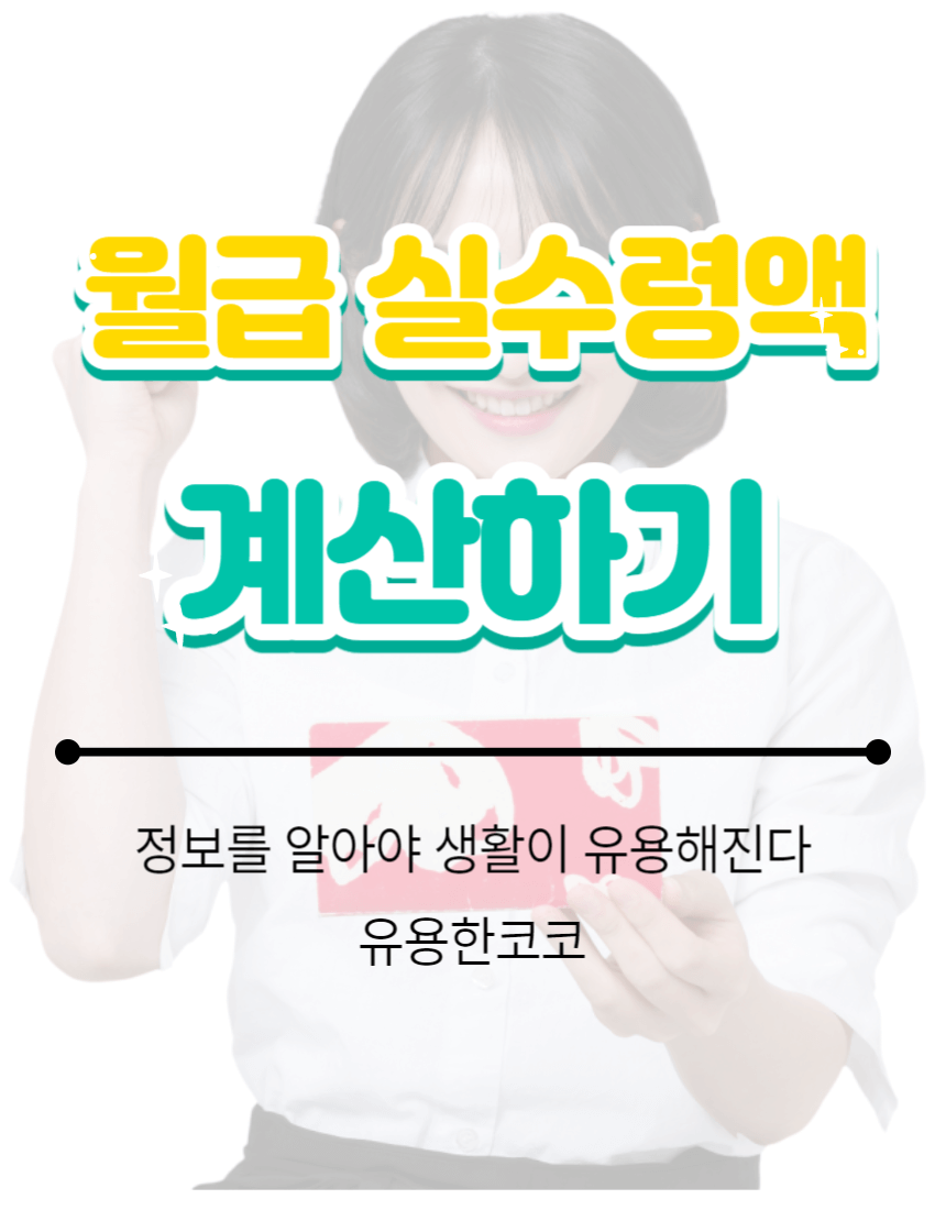  월급 실수령액 계산기 활용