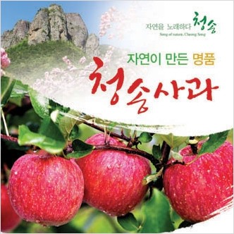  경북 청송사과 가정용 선물용 꿀사과 10kg